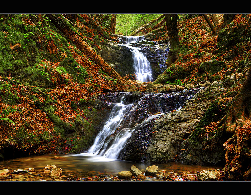 Subtle Cascade