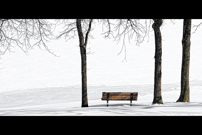 Contemplating With Three Elders