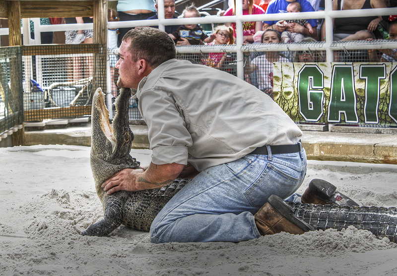 Man Versus Beast