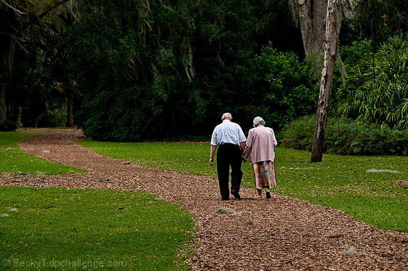 Trail of Life