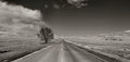 Empty Road