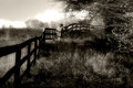 Property Line