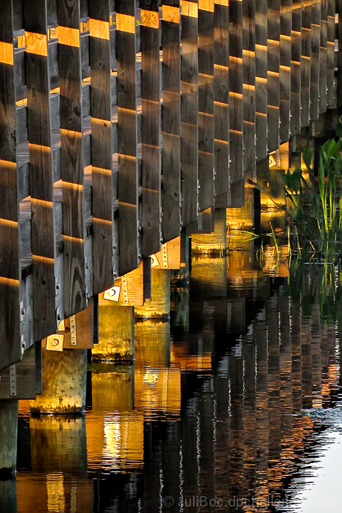 Boardwalk Reflection