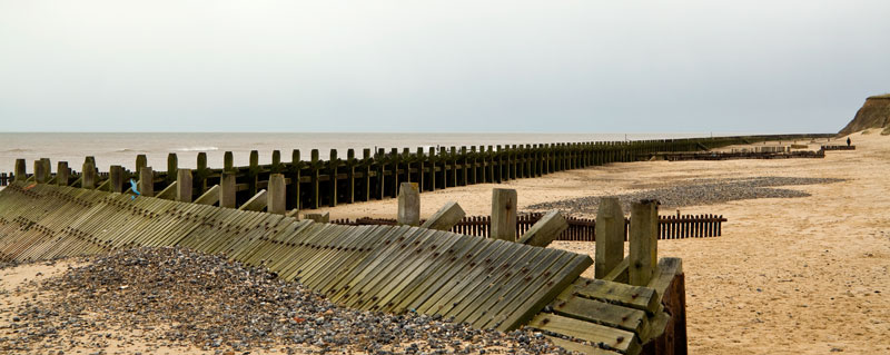 Alone On The Beach