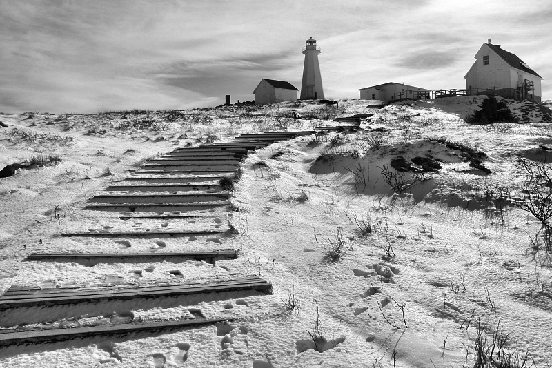 To the Lighthouse