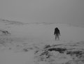 Desolate Ascent
