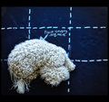 Lessons in Photography Page 87 Figure 8b: Rule of Thirds with Canine