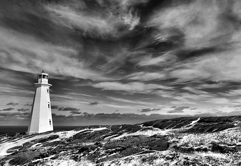 Winter Day, Winter Sky