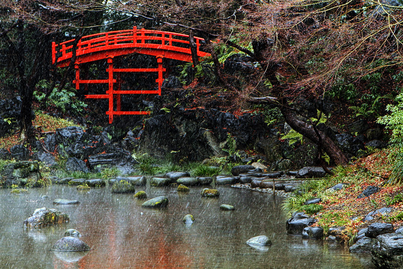 Tokugawa's Bridge