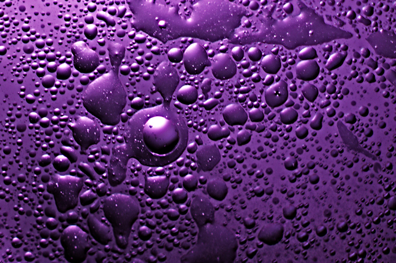 Purple Rain