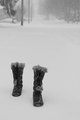 Cold and Alone, We walk the roads of life. 