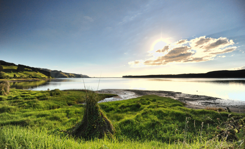 Backpacker in NZ