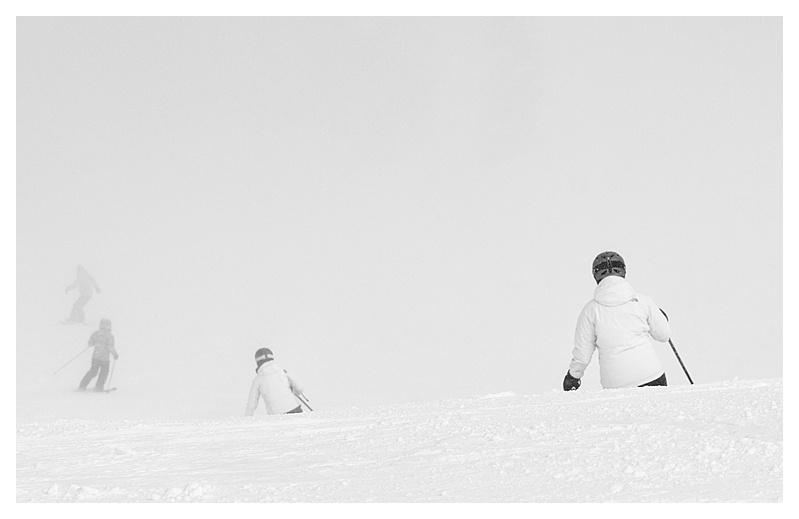 Into the Mist