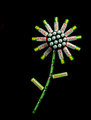 Flower Power