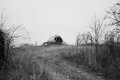 No Shelter in the old barn