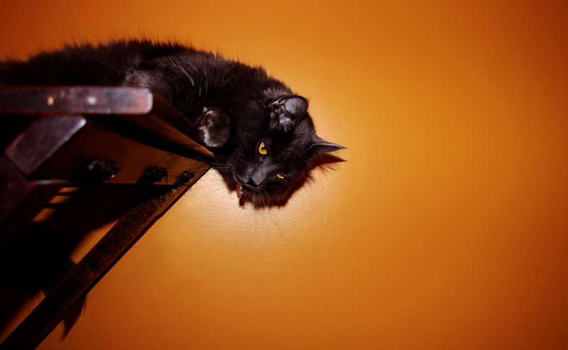 Golden Eyes