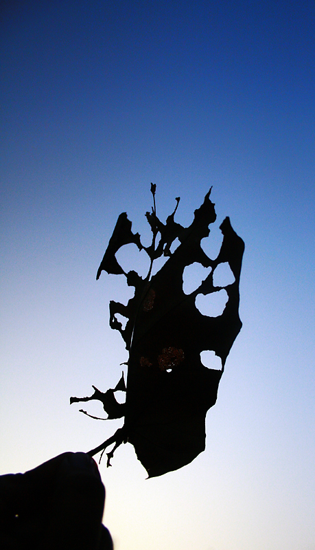The leaf warriors