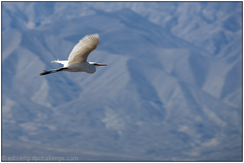 Gliding high