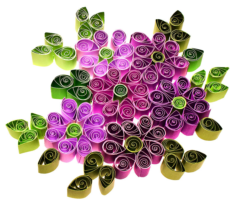 Shades of Purple and Green