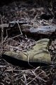 Old Boot