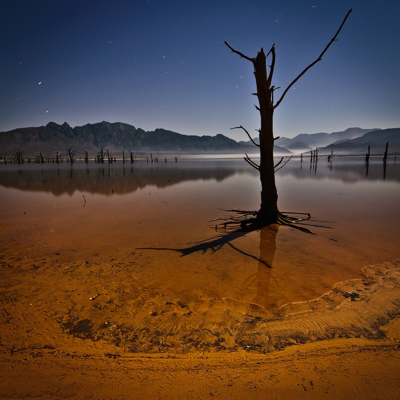 Reflection of Night