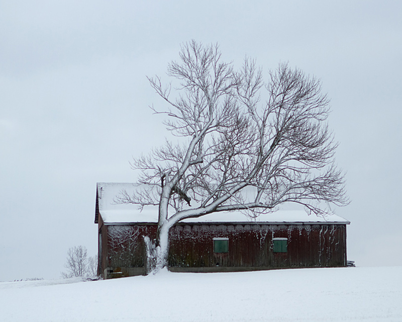 Winter Lingers On