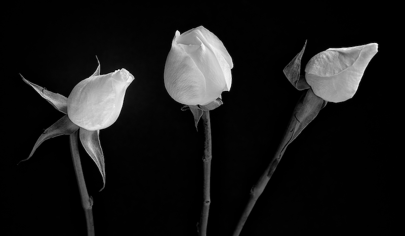 trio