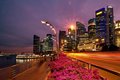Bougainvillea Blooms in the Urban Jungle