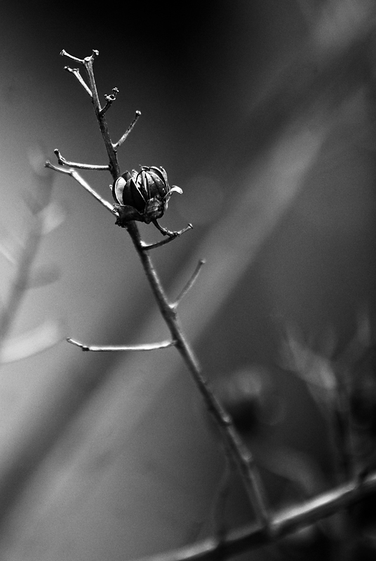 Holding On