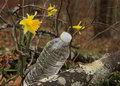 Natural Spring Water