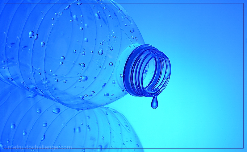 We never know the worth of water till the well runs dry.