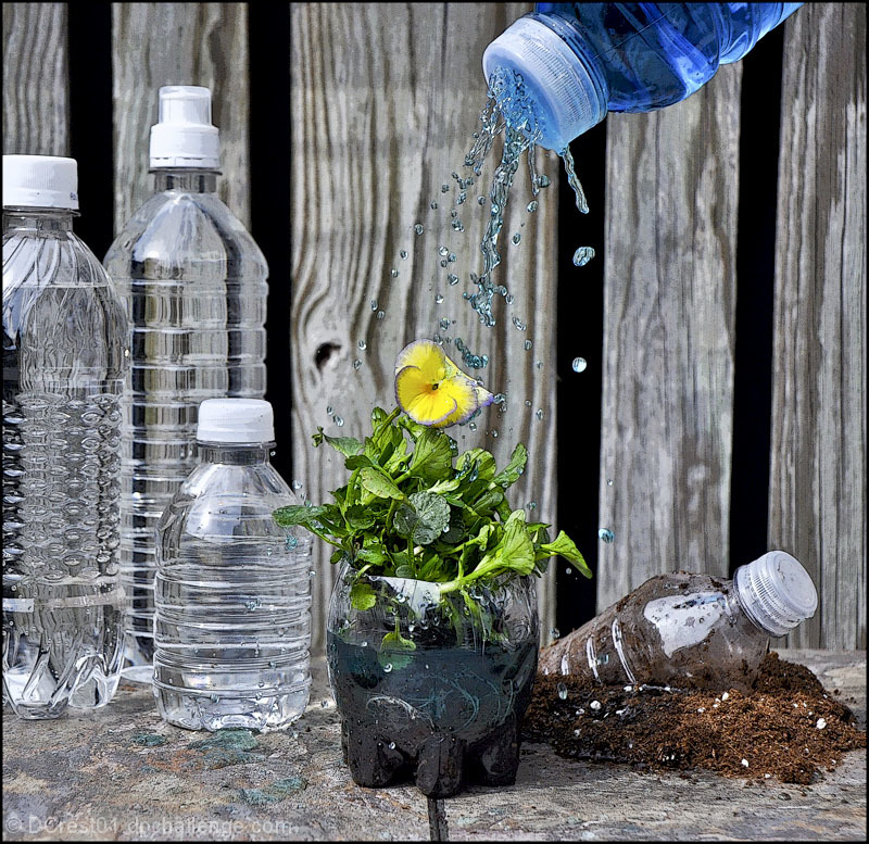 Recycling Water Bottles