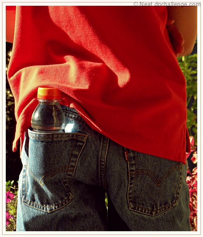 Handy pouch
