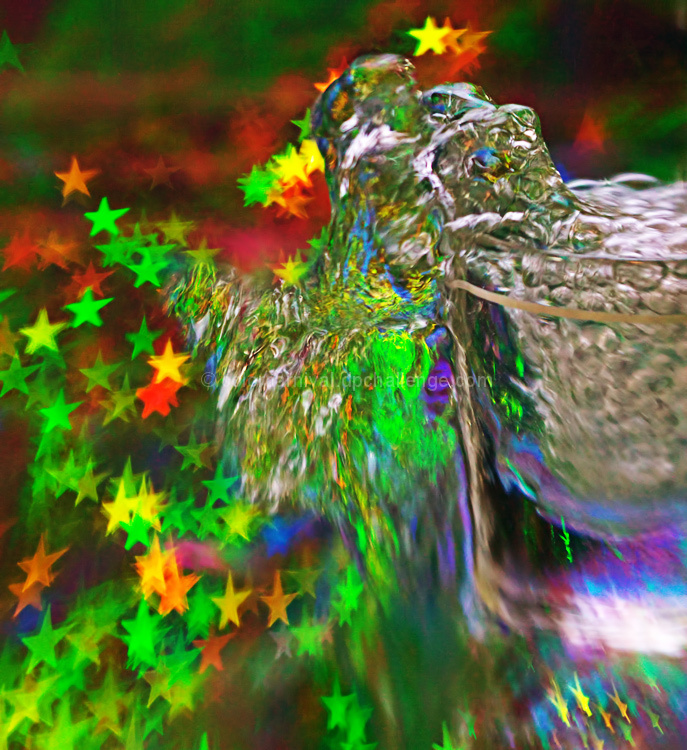 Colorful Abstract - with Water!