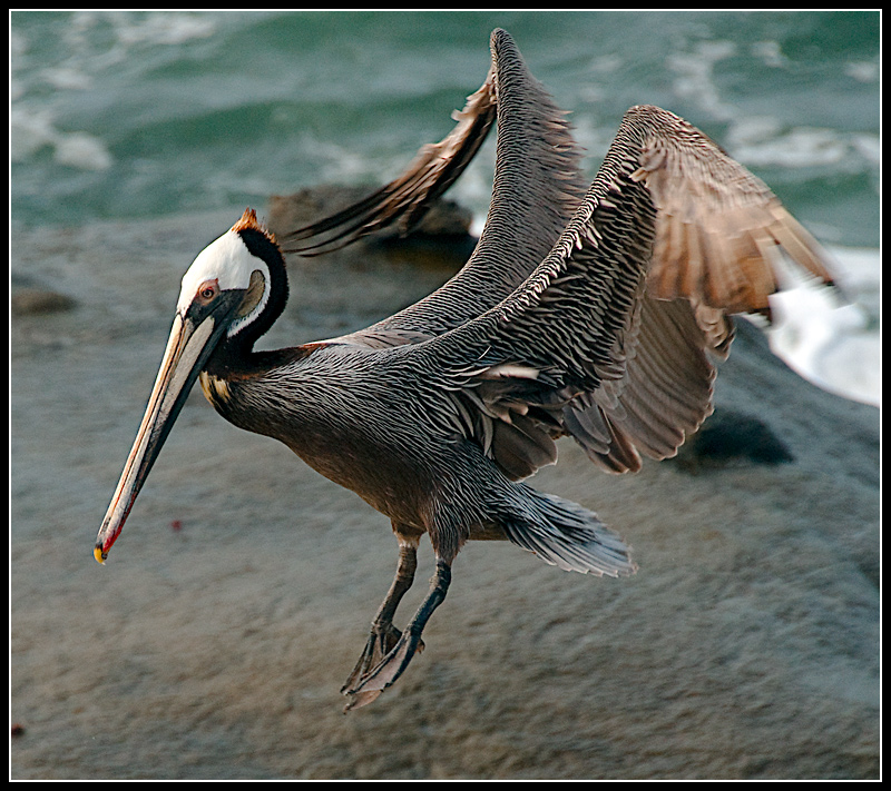 landing