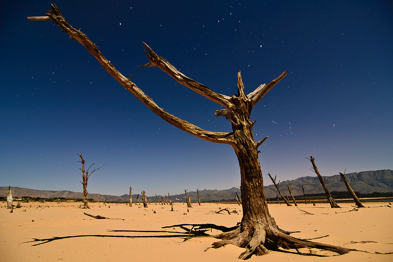 Reaching for the Stars