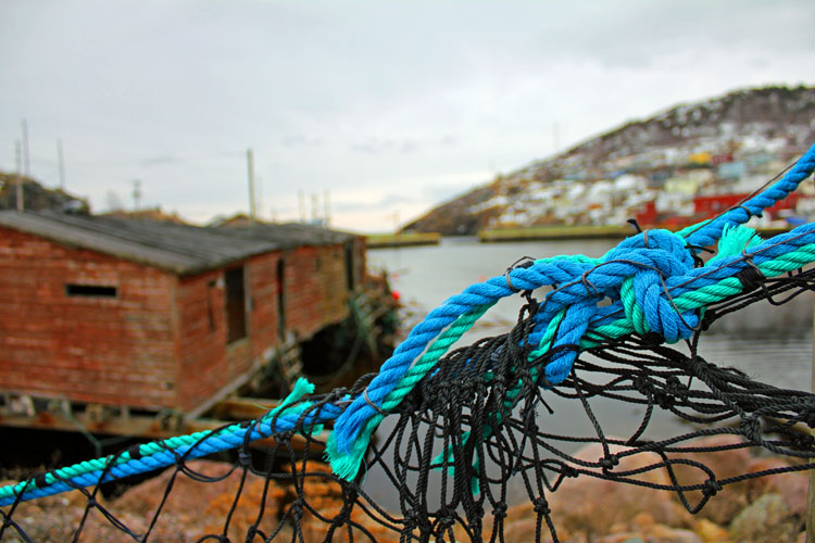 cool, cold day in the harbour