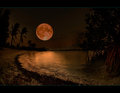 Tranquility