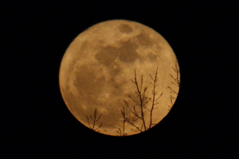 Golden Moon