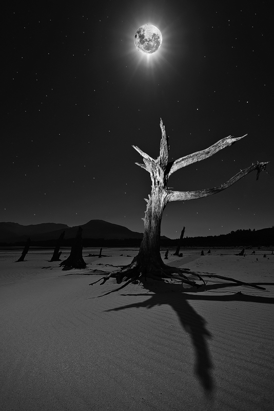 Under the Full Moon