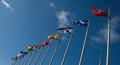 Thirteen provincial flags of Canada