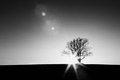 Beacon