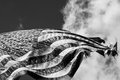 Wave
