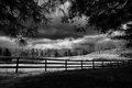 My Slice of Country