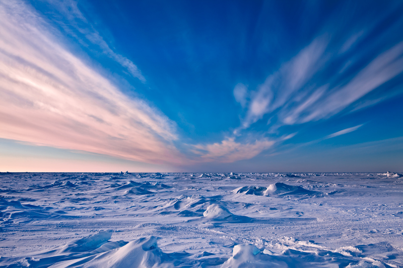 Arctic Landscape