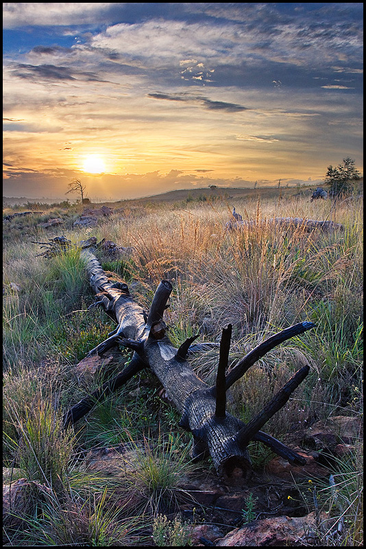 African Winter Sunset