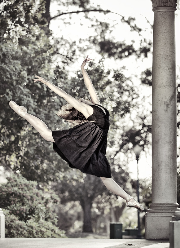 black swan