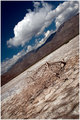 Dry Lake