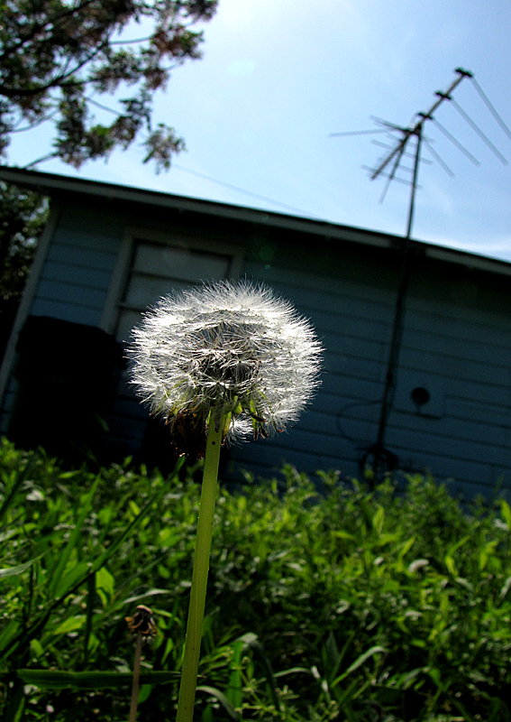 Worm's Eye View