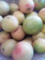 GrapeFruits.